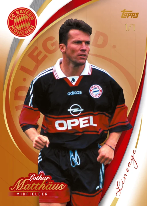 be3b6d492d4fea2fd1f9332d5edbe90b0cfe5139_35_T25BML_Base___Legends.webp